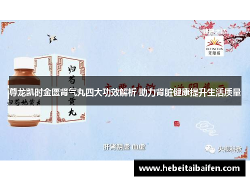 尊龙凯时金匮肾气丸四大功效解析 助力肾脏健康提升生活质量