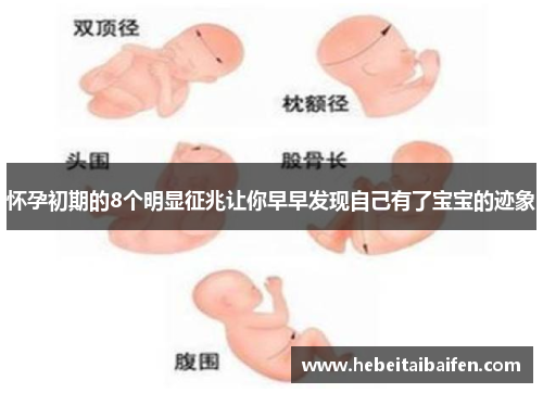 怀孕初期的8个明显征兆让你早早发现自己有了宝宝的迹象